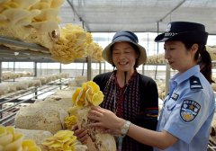 <b>华县紧盯盗窃、诈骗等侵害群众亲身好处案件</b>